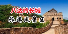 中日淫语观看中国北京-八达岭长城旅游风景区