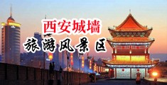 露脸骚逼爆操内射叫声中国陕西-西安城墙旅游风景区